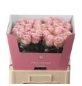 ΤΡΙΑΝΤΑΦΥΛΛΑ ΡΟΖ 60εκROSEN  AVALANCHE PINK 60cm